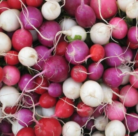 Pickled Easter Egg Radishes