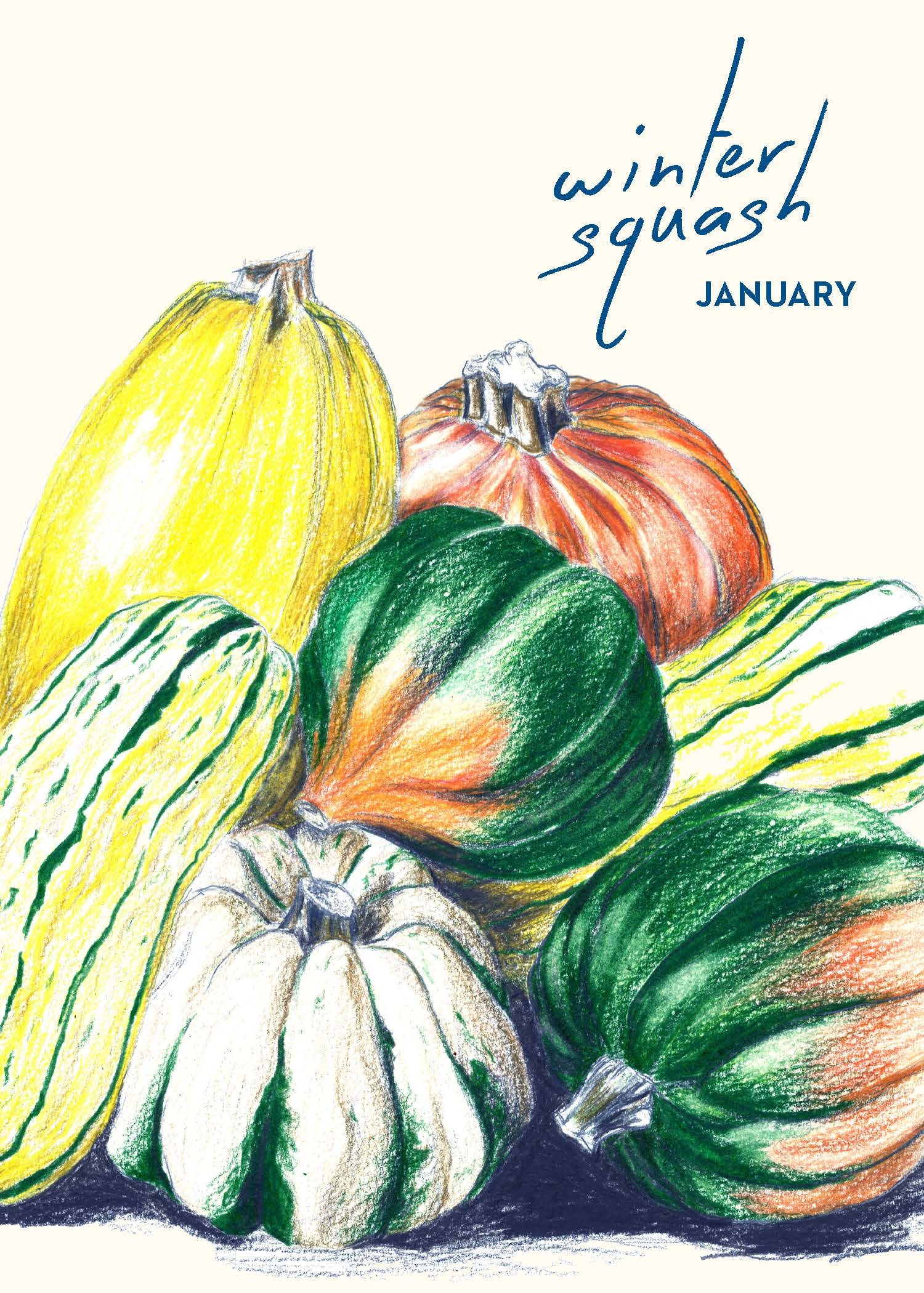 Festival of the Month: Winter Squash (With Recipes!)