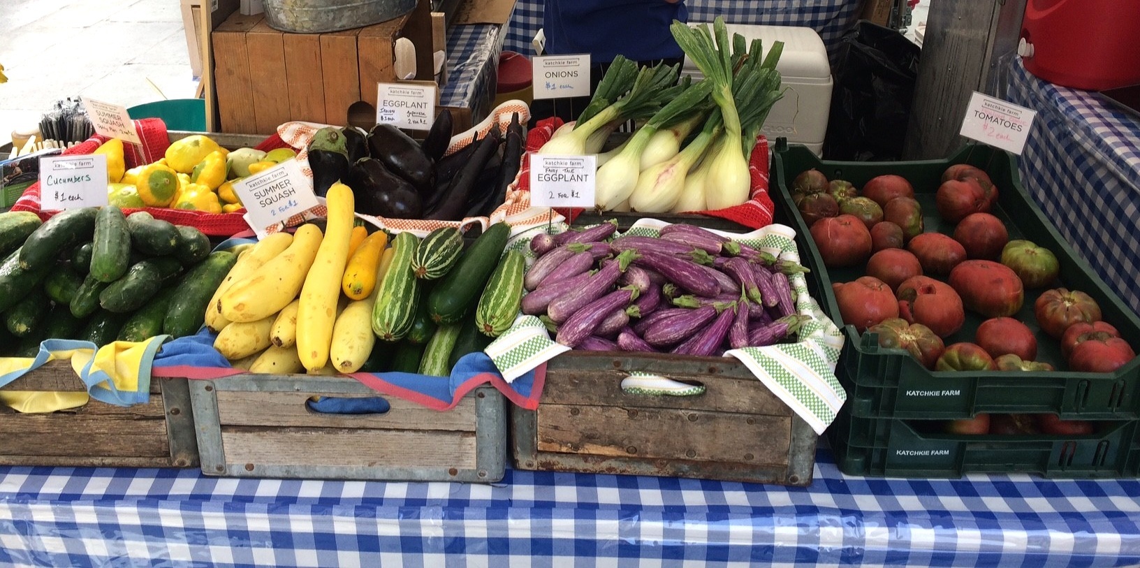 Celebrate Earth Day by Joining Our CSA