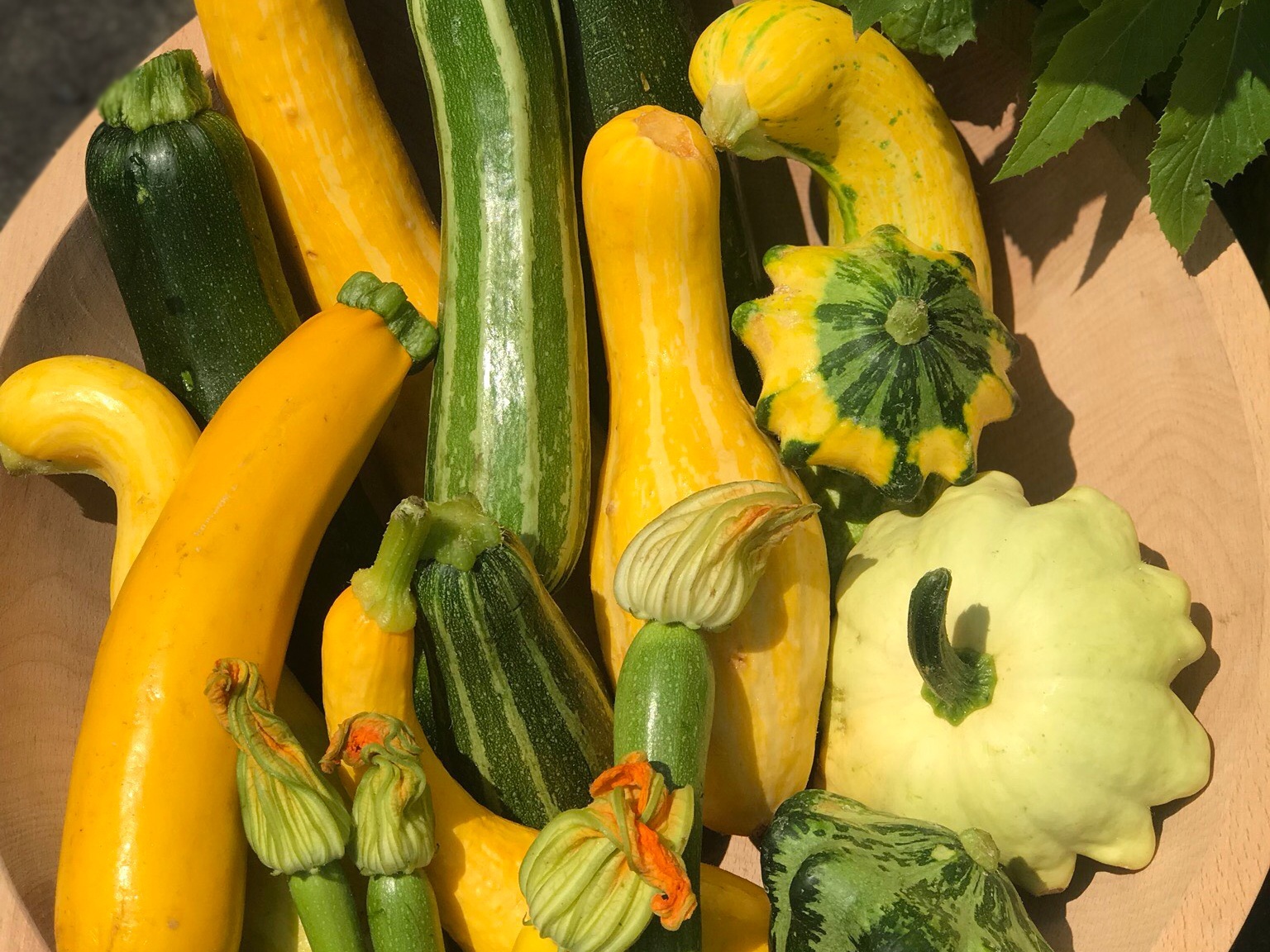 July Café Festival: Summer Squash (With Recipes)