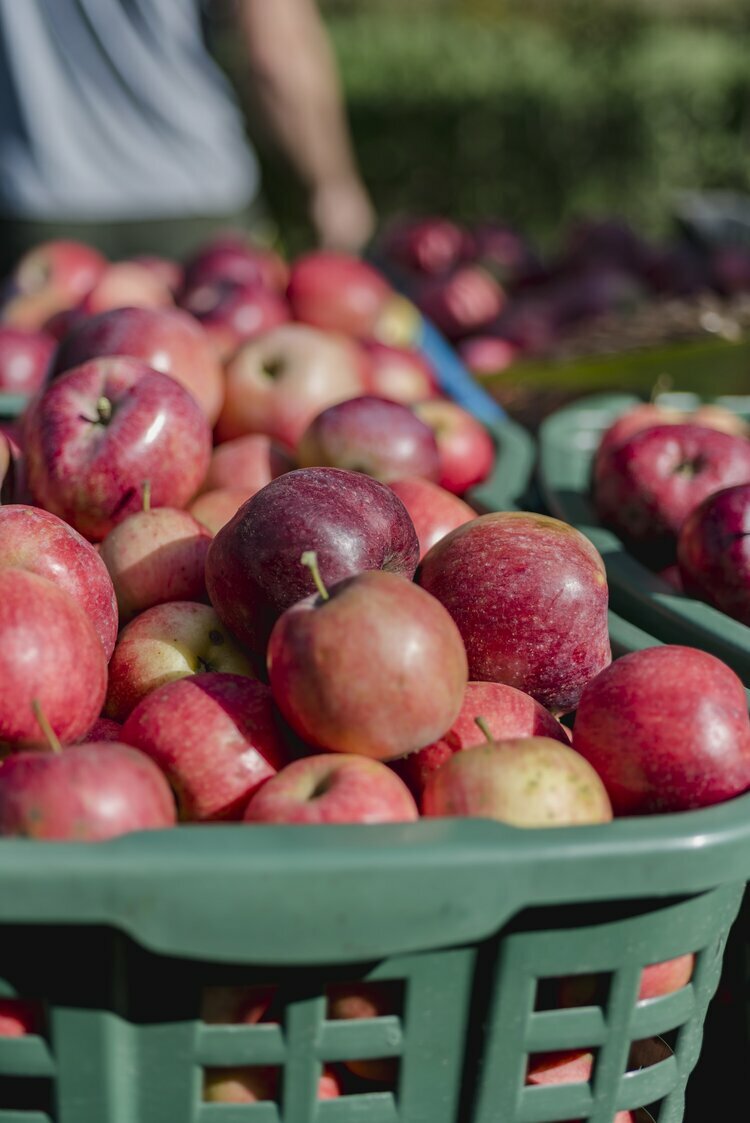 Liz Neumark's Apple Sauce