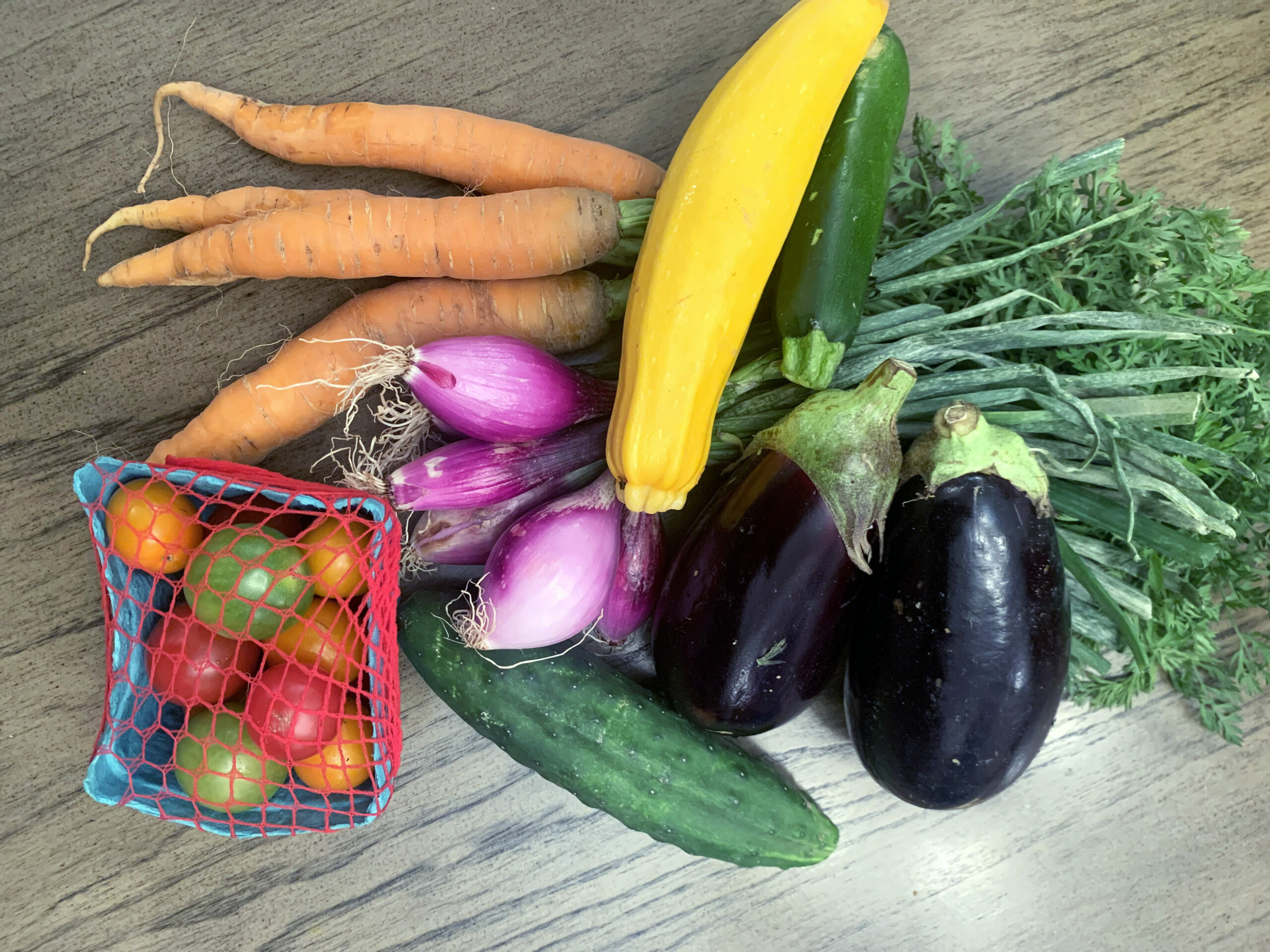 Cook Like a Chef: Katchkie Farm's CSA with Aya Mohamed