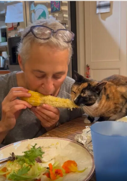 GP_Pets_Liz-Neumark_Kimchi-and-corn