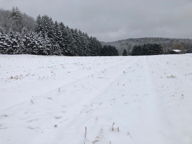 Winter Reflections from Katchkie Farm