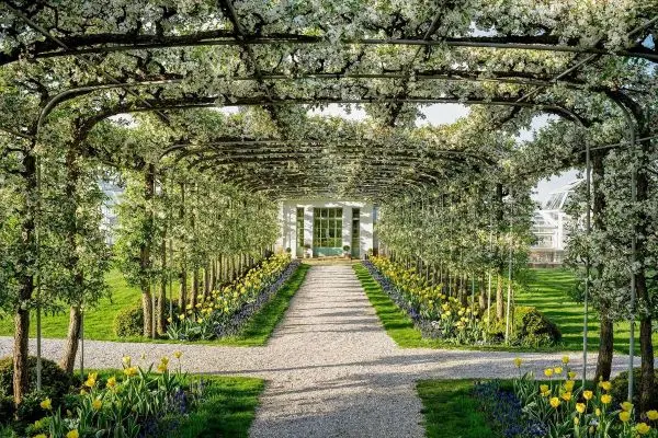 Exciting Events Around New York: March 2024