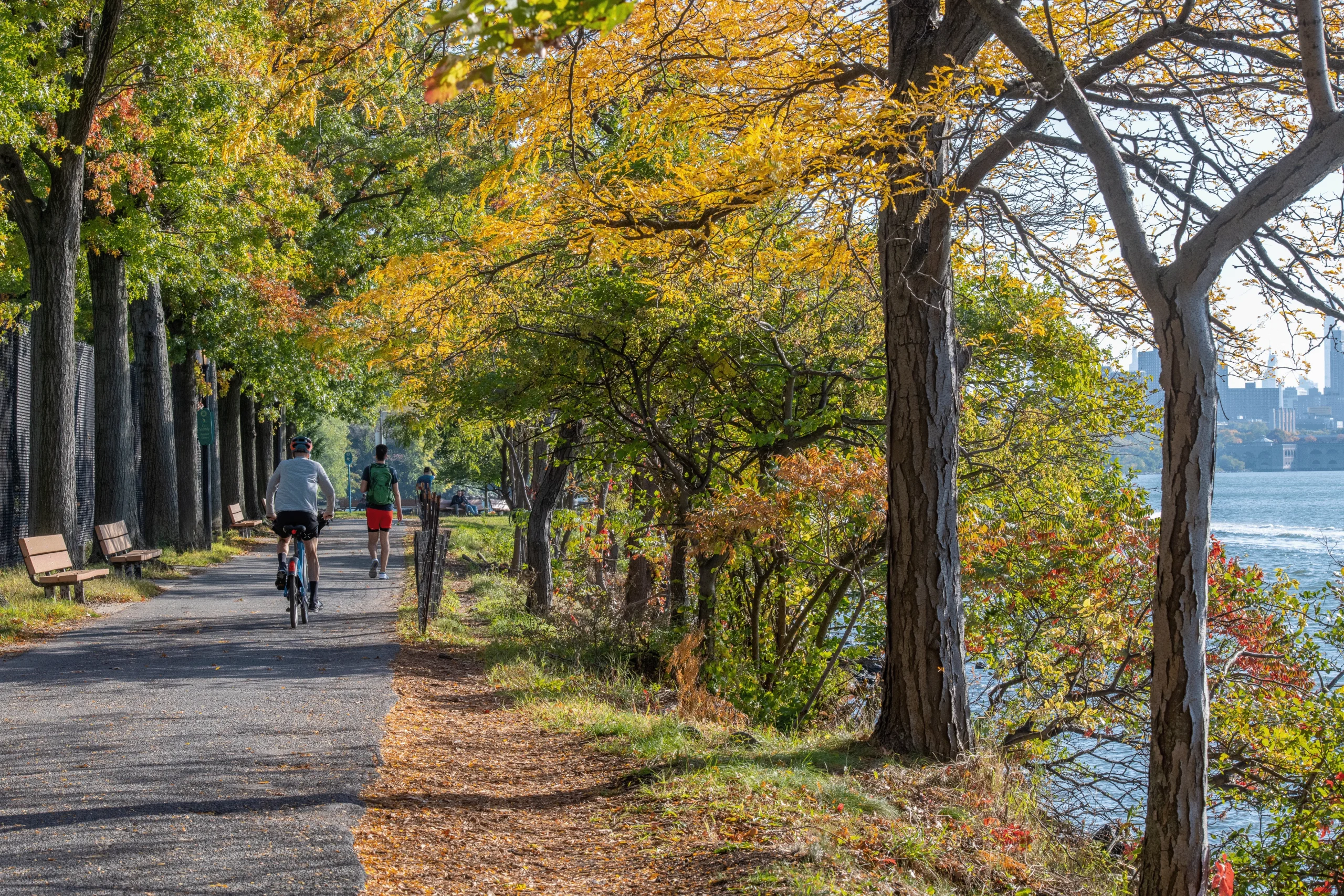 Exploring Green Spaces of NYC