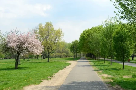 Bronx_Soundview-Park