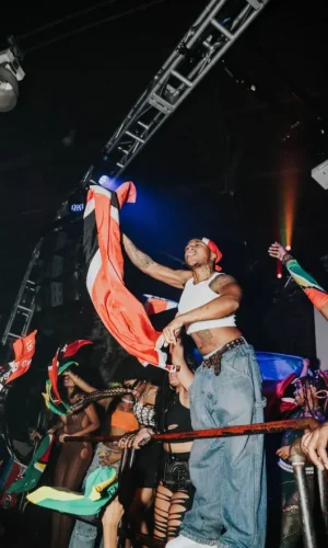 Brooklyn-Museum_Funky-Reggae-House-Party-Hard-Fete_FEB-2024_Credit-Zen