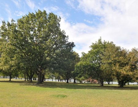 Ferry-Point-Park