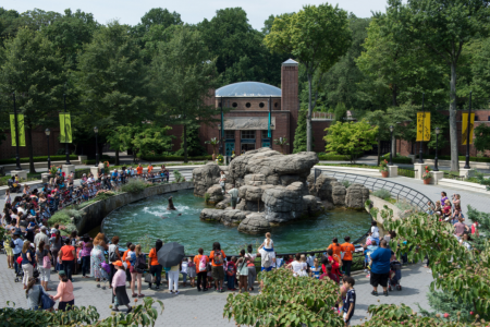 Great-Performances_Prospect-Park-Zoo_courtesy-Prospect-Park-Zoo_Photographer-Julie-Larsen-Maher_WCS