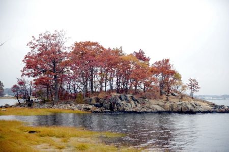 Pelham-Bay-Park_Bronx_Hunter-Island_Hike-Fall