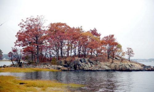 Pelham-Bay-Park_Bronx_Hunter-Island_Hike-Fall