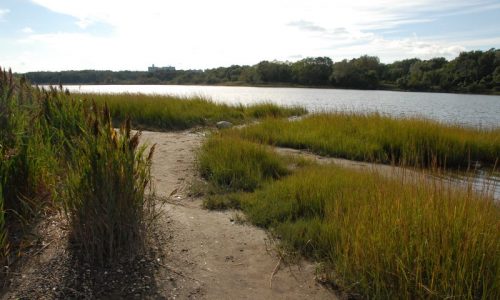 Pelham-Bay-Park_Bronx_river-foliage