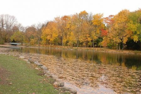 VanCortlandt_Fall-Foliage