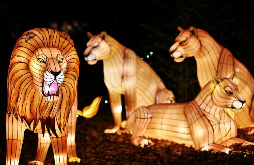 bronx-zoo_holiday-lights-in-snow_photo-lindsay-silverman_9728